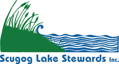 Lake Scugog stewards
